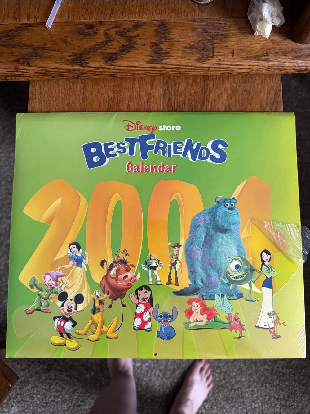 Disney Best Friends 2004 Green Kids Calendar